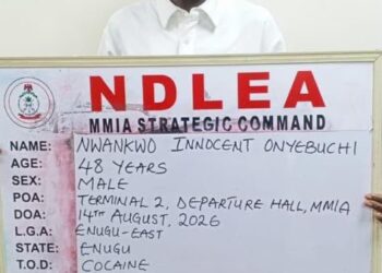 NDLEA Intercepts India-Bound Cocaine Courier, Seizes N3.6bn Drugs In Nationwide Raids