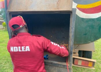 NDLEA Busts Cocaine Trafficker, Seizes 2,145kg Cannabis Hidden In Fuel Tanker