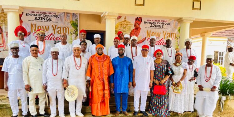 Asagba Of Asaba Urges Ohanaeze To Intensify Promotion Of Igbo Language, Heritage