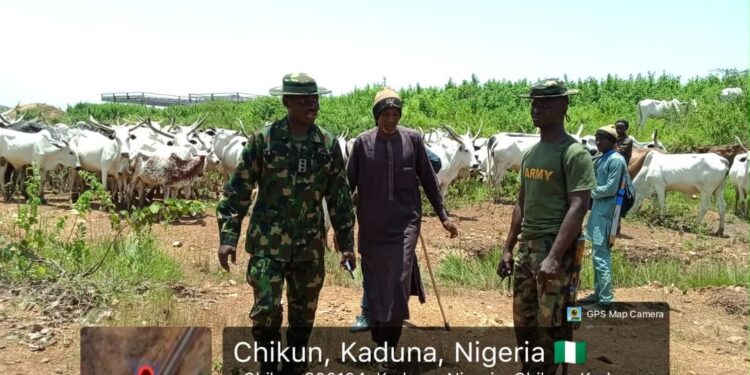 Troops Recover Over 500 Rustled Cattle, Disperse Terrorists In Kaduna