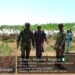 Troops Recover Over 500 Rustled Cattle, Disperse Terrorists In Kaduna