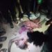 Troops Of OPHK Foil ISWAP Assault, Hold Ground In Pulka