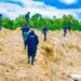 Mining Marshals Intensify Nationwide Crackdown On Illegal Mining