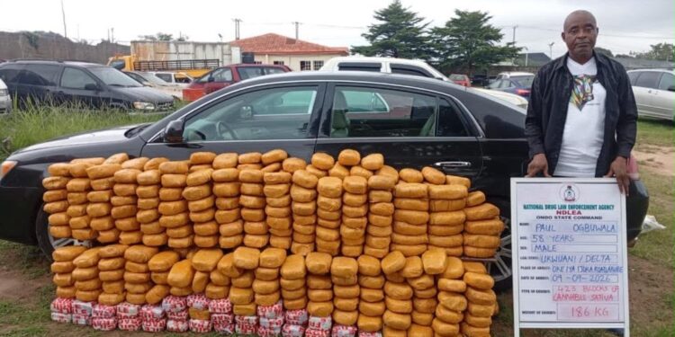 NDLEA Seizes 2.3 Tonnes Of Illicit Drugs, Busts UK Colos Shipments