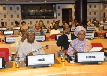 NEMA CHARTS PATH FROM WARNING TO ACTION AT AFRICA FORUM IN ADDIS ABABA