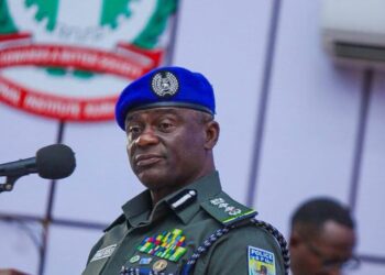 IGP Disu Seeks Specialised Policing To Protect Nigeria’s Creative Economy