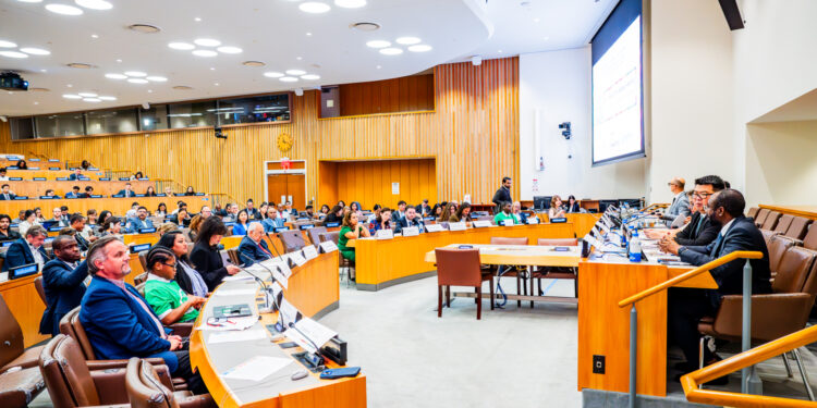 NITDA DG Advocates Inclusive AI Future Built On Representation, Access, Agency