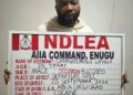 NDLEA Makes Major Drug Hauls, Busts Europe-Bound Newlywed With 72 Cocaine Wraps