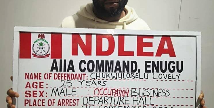 NDLEA Makes Major Drug Hauls, Busts Europe-Bound Newlywed With 72 Cocaine Wraps