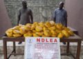 NDLEA Smashes Drug Networks, Seizes N3.4bn Consignments Across 8 States, FCT