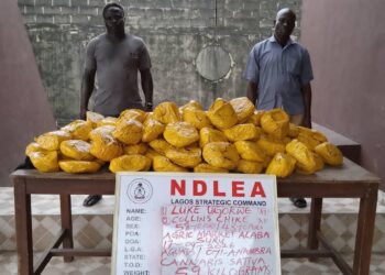 NDLEA Smashes Drug Networks, Seizes N3.4bn Consignments Across 8 States, FCT