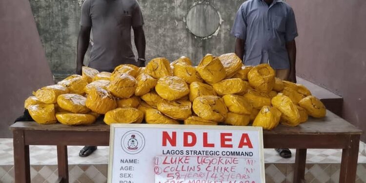 NDLEA Smashes Drug Networks, Seizes N3.4bn Consignments Across 8 States, FCT