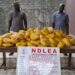 NDLEA Smashes Drug Networks, Seizes N3.4bn Consignments Across 8 States, FCT