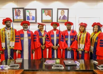 Goronyo Earns Fellowship, Excellence Award For Contributions To National Development