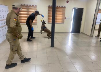 NDLEA Strengthens Narcotics Detection Capacity With German Canine Training