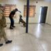 NDLEA Strengthens Narcotics Detection Capacity With German Canine Training