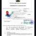 Nigerian Mission Monitors Deportation Of Overstayed Citizen In India, Seeks Fresh Amnesty