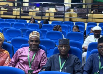 Mohammed Proposes NISO-State Technical Working Group To Strengthen Electricity Market Integration