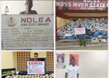 NDLEA Re-Arrests 83-Year-Old Drug Dealer, Busts International Shipments, Seizes Large Consignments Nationwide