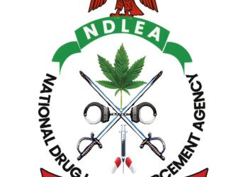 NDLEA Assures Interior Ministry Applicants Of Free Drug Integrity Tests