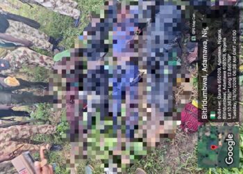 OPHK Records Gains In Adamawa, Recovers Arms After Terrorist Assault