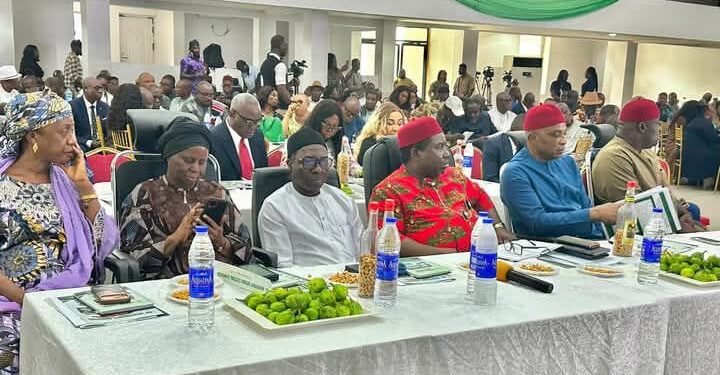 2027 Elections: Amupitan Orders Review Of Voter Register, Removal Of PVC Distribution Bottlenecks In South-East