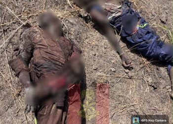 Operation Hadin Kai Neutralises 15 Terrorists In Air Strike Near Pulka