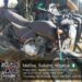 Troops Overrun Lakurawa Terrorists’ Enclave In Sokoto, Recover Weapons, Five Motorcycles