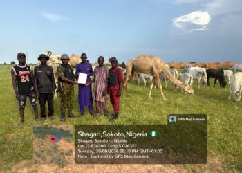 Troops Rescue Mother, Infant, Three Others In Katsina, Recover Livestock In Sokoto