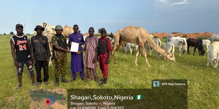 Troops Rescue Mother, Infant, Three Others In Katsina, Recover Livestock In Sokoto