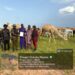 Troops Rescue Mother, Infant, Three Others In Katsina, Recover Livestock In Sokoto