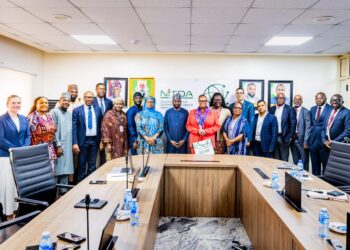 NITDA Seeks Local Cloud Infrastructure, Assures Foreign Tech Firms Of Openness