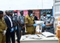 Customs Intercepts Cannabis Worth N2.26bn At Lekki Port, Hands Over Seizure To NDLEA