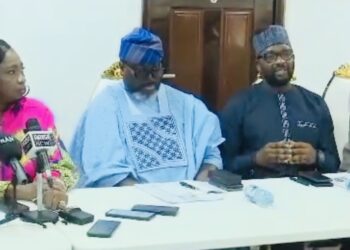 2027: APC Diaspora Directorate Unveils Five-Point Plan To Mobilise Support For Tinubu