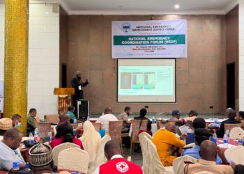NEMA Mobilises Agencies Against Floods, Ebola, Cholera, El Niño Threats