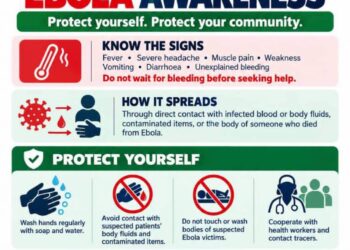 Ebola: IGP Disu Urges Calm, Directs Police To Observe Preventive Measures