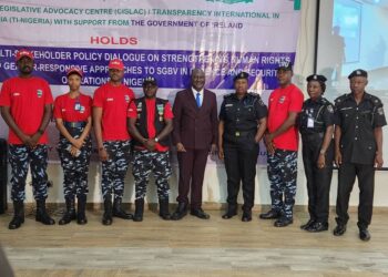 SGBV: IGP Disu Reaffirms Police Commitment To Survivor Protection, Accountability