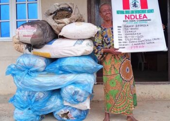 NDLEA Arrests Grandmother, Intercepts Saudi-Bound Cannabis In Nationwide Drug Bust