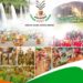 Nigeria’s AGLOFEST Launch Postponed, New Date Awaited