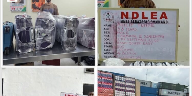 NDLEA Intercepts N5bn Drug Consignments, Arrests Italy-Bound Cocaine Suspect