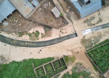 Tinubu’s Irrigation Interventions Will Boost Food Security — Arewa Group