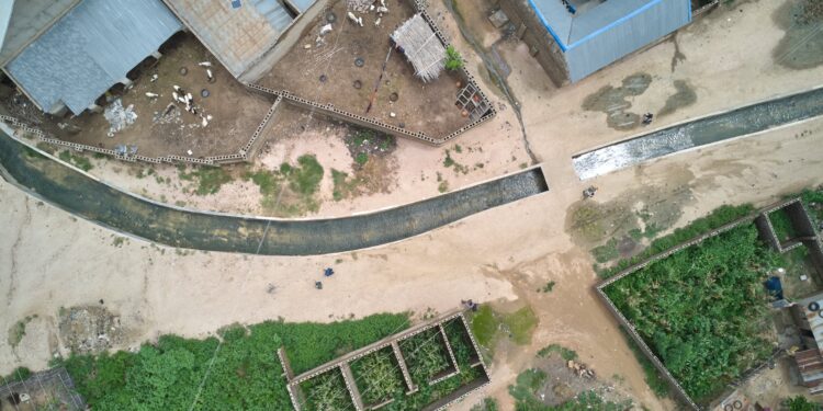 Tinubu’s Irrigation Interventions Will Boost Food Security — Arewa Group