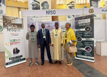 NISO, Stakeholders Explore Opportunities In Electricity Act Reforms