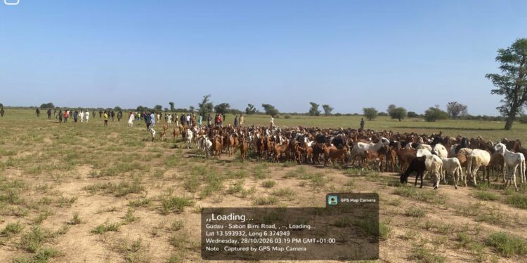Troops Overpower Terrorists In Zamfara Ambush, Recover 520 Livestock In Sokoto