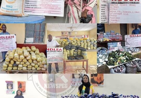 NDLEA Arrests US-Based Grandma With 9.45kg Cannabis, Tracks Cocaine Syndicate