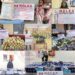NDLEA Arrests US-Based Grandma With 9.45kg Cannabis, Tracks Cocaine Syndicate